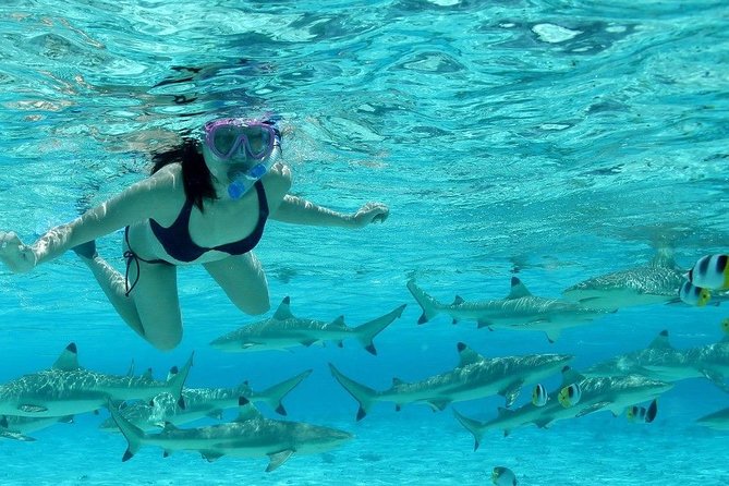 Bora Bora Jet Ski Tour, & Eco Shark / Ray Snorkel Cruise - Who will enjoy this tour most?