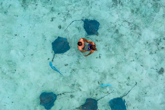 Bora Bora Jet Ski Tour, & Eco Shark / Ray Snorkel Cruise - The lunch break at Lucky House