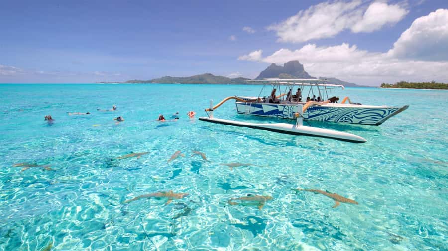 Bora Bora: Lagoon Tour and Snorkeling Experience - Key points to know before booking