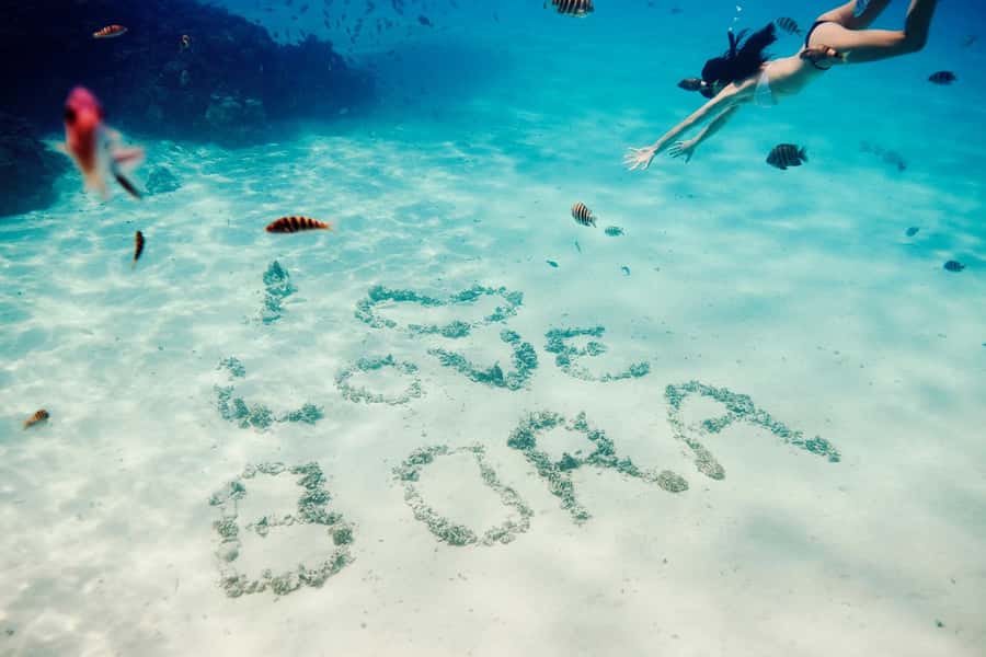 Bora Bora: Lagoon Tour and Snorkeling Experience - FAQ