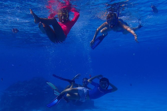 Bora Bora: Luxury Private Half Day Snorkeling Tour - Equipment, comfort, and the ladder