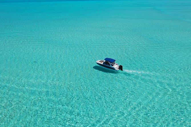Bora Bora: Luxury Private Half Day Snorkeling Tour - Is $780 good value for a private half day?