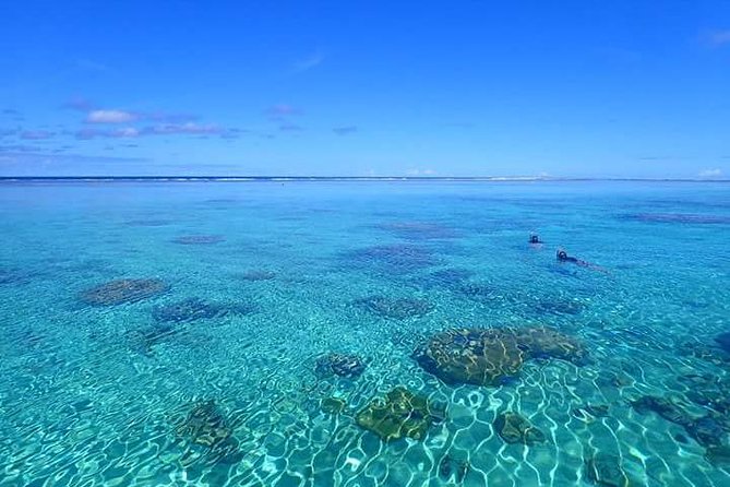 Bora Bora: Luxury Private Half Day Snorkeling Tour - What happens during the three or four stops