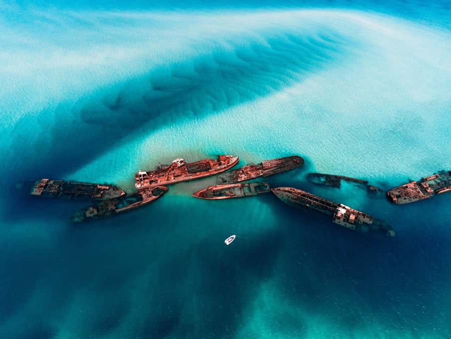 Brisbane: Moreton Island all inclusive Snorkeling Tour - Why the Tangalooma Wrecks make this trip special