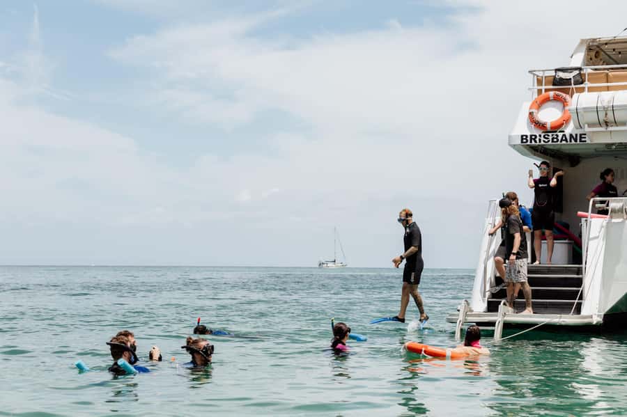 Brisbane: Moreton Island all inclusive Snorkeling Tour - The eco-marine cruise and wildlife watching