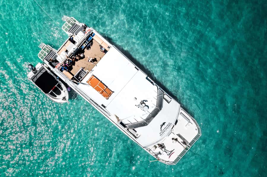 Brisbane: Moreton Island all inclusive Snorkeling Tour - What $140 really buys you