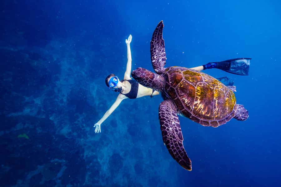 Brunswick Heads: Snorkelling in Byron Bay - A Small Group Makes the Guide More Useful