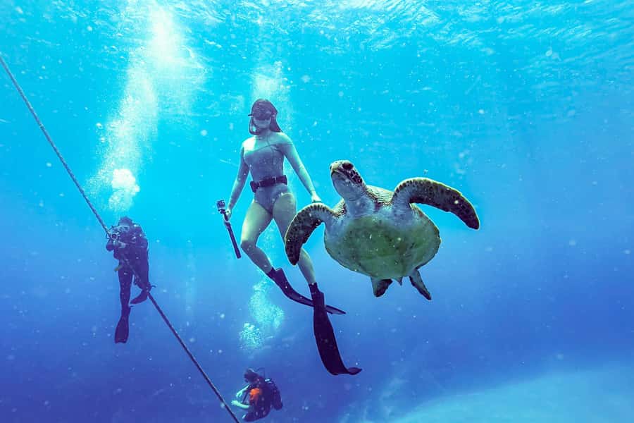 Brunswick Heads: Snorkelling in Byron Bay - Is $91 a Fair Price?