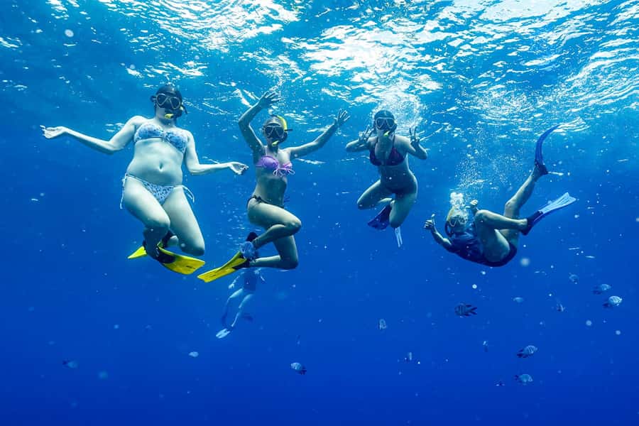 Brunswick Heads: Snorkelling in Byron Bay - Who Should Book This Marine Sanctuary Trip?