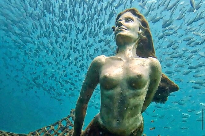 Busselton Jetty and Underwater Sculptures Snorkel Boat Tour - Is $71.01 good value?