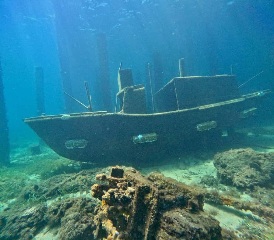 Busselton: Jetty Snorkeling Tour with Underwater Sculptures - Key points at a glance
