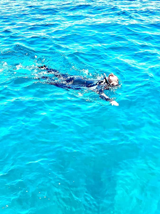 Busselton: Jetty Snorkeling Tour with Underwater Sculptures - What the snorkel is like