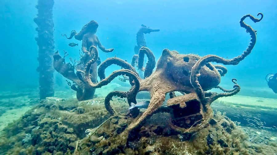Busselton: Jetty Snorkeling Tour with Underwater Sculptures - From Swan Dive shop to the fast boat