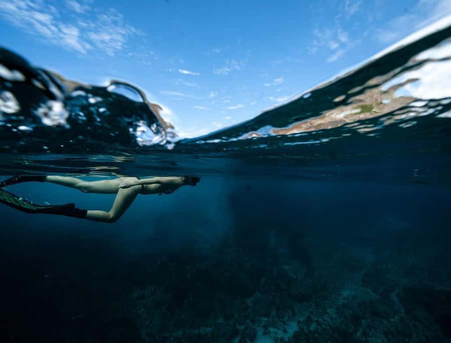 Byron Bay: Snorkeling Tour at Julian Rocks, Nguthungulli - The return boat ride and the 150-minute schedule