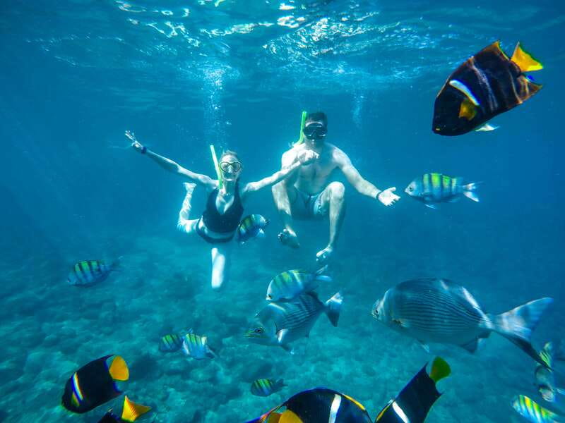 Cabo Catamaran Snorkel: Arch & Santa Maria, Open Bar, Snacks - Quick facts about the Cabo catamaran cruise