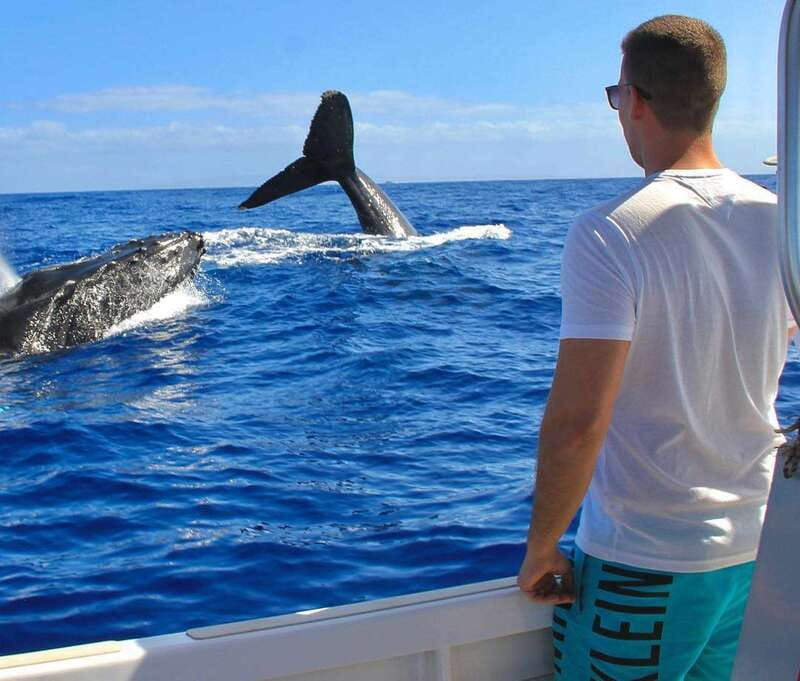 Cabo Catamaran Snorkel: Arch & Santa Maria, Open Bar, Snacks - What to bring and how to prepare