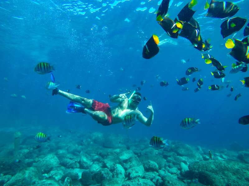 Cabo Catamaran Snorkel: Arch & Santa Maria, Open Bar, Snacks - The return along the Tourist Corridor