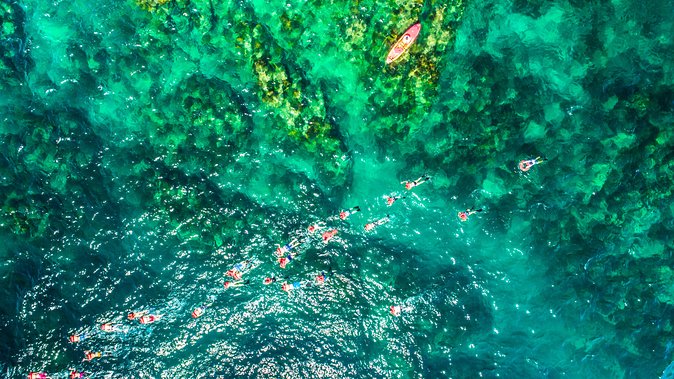 Cabo Escape Breakfast Snorkel Cruise - Who will enjoy this cruise most?