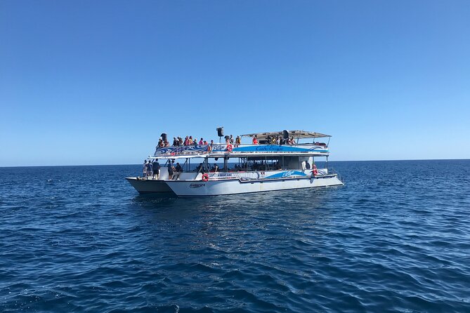 Cabo Escape Snorkel Fun Cruise - Grilled lunch, open bar, and the party-boat atmosphere