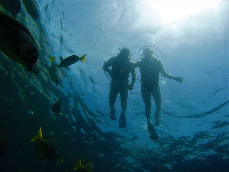 Cabo: Hidden Beach Day with Snorkeling in the Sea of Cortez - Snorkeling in the Sea of Cortez