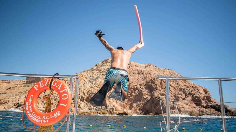 Cabo San Lucas: 4-Hour Snorkeling Cruise with Open Bar - Quick take: what makes this Cabo cruise worth considering
