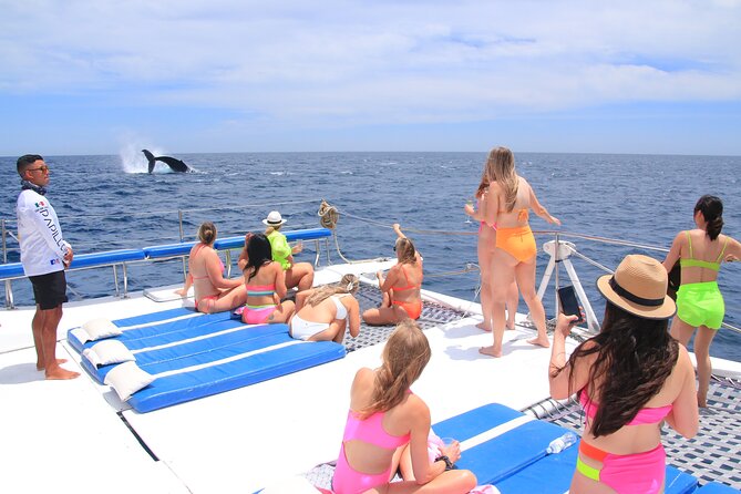 Cabo San Lucas All-Inclusive Private Catamaran Snorkeling Cruise - What the three hours can and cannot do