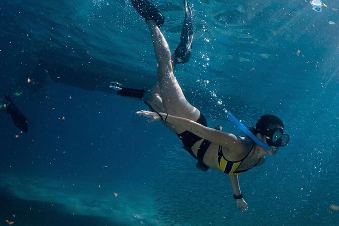 Cabo San Lucas Arch Boat Tour and Snorkeling at Pelican Rock - Lovers Beach and Divorce Beach in one coastal stop