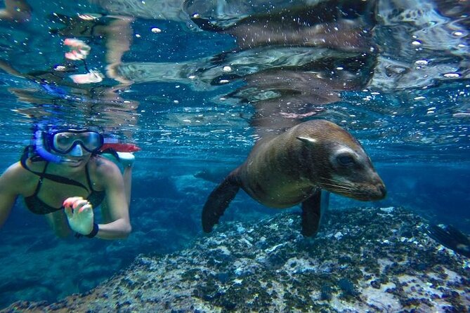 Cabo San Lucas Boat Tour and Snorkel at Pelican Rock - Cabo’s Arch and the Land’s End boat ride