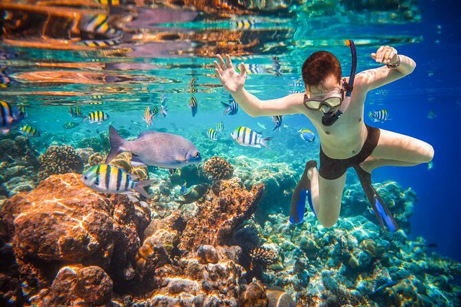 Cabo San Lucas Boat Tour and Snorkel at Pelican Rock - What to bring for a smoother outing