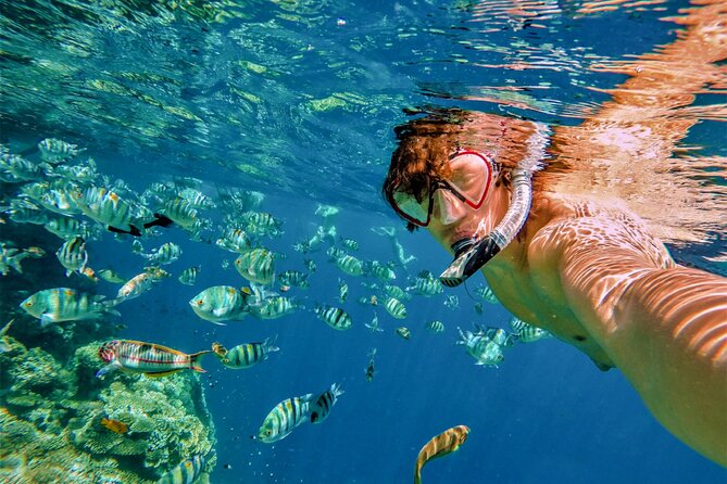 Cabo San Lucas Boat Tour with Snorkeling, Open Bar, and Lunch - Sea lions, Playa el Chileno, and the route north