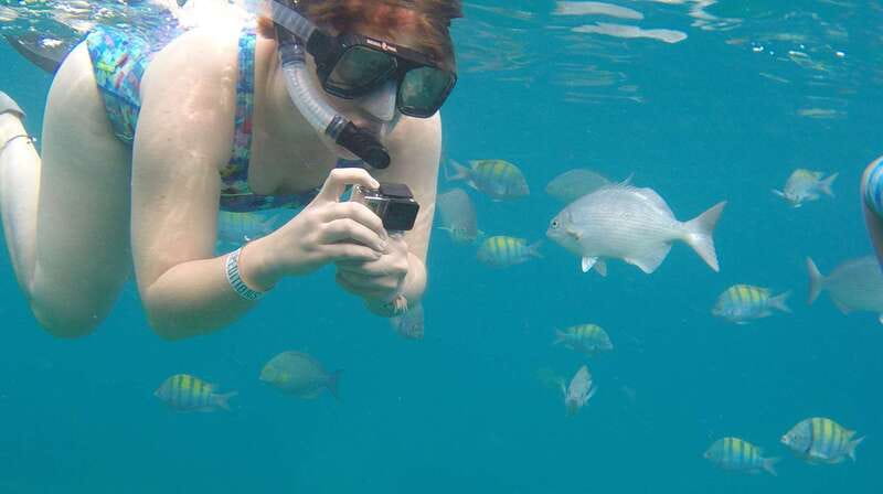 Cabo san Lucas: Paddle Boarding or Kayak and Snorkeling - Pelican Rock and the Sea of Cortez