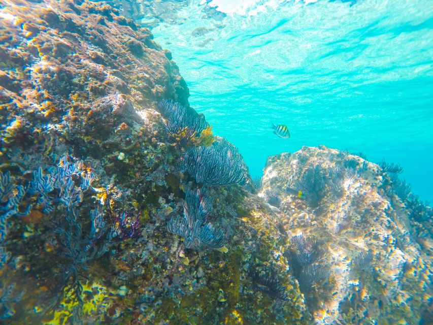 Cabo San Lucas: Private Catamaran Tour with Snorkeling - The double deck and the jump