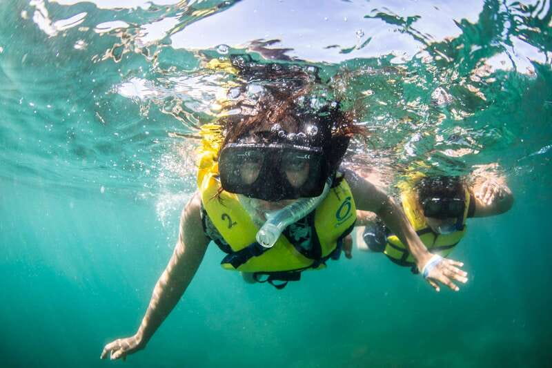 Cabo San Lucas: Snorkel, Lunch and Sail Experience - A taco buffet that earns its place