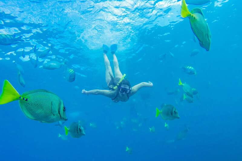 Cabo San Lucas: Snorkel, Paddle-board, and/or Kayak Tour - Getting from your pickup point to Cabo Bay