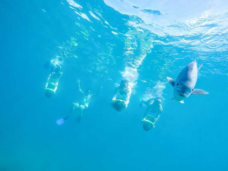 Cabo San Lucas: Snorkel, Paddle-board, and/or Kayak Tour - Kayaks, paddleboards, and sea scooters