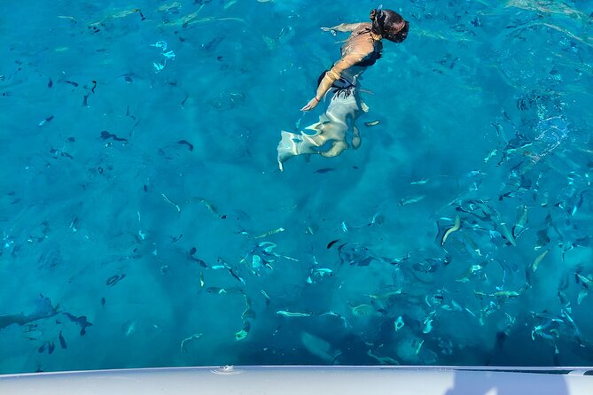 Cagliari Boat Tour with Sardatrips; Swim, Snorkeling, Sip & Snack - Cagliari harbor and the first dolphin watch