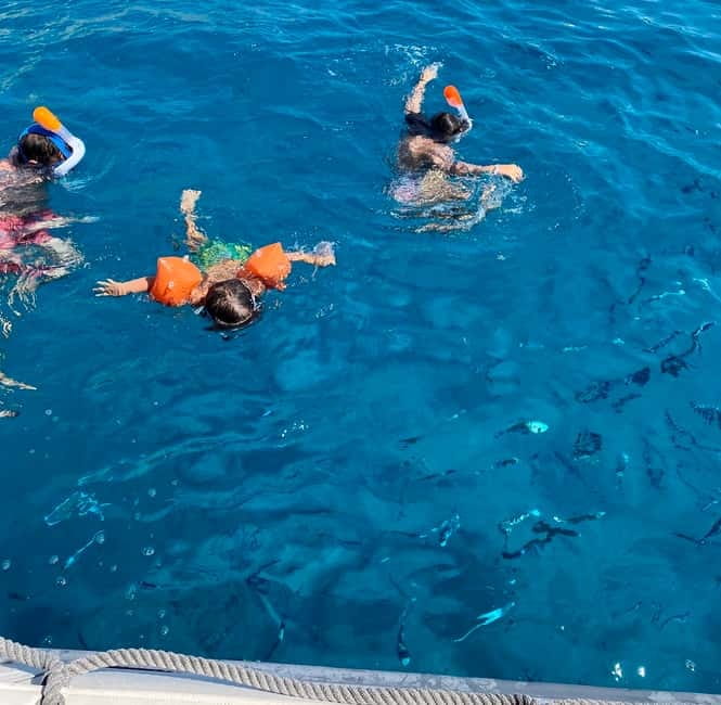 Cagliari: Boat Tour with Snorkeling, GoPro & Sardinian Beer - The final marine-life stop