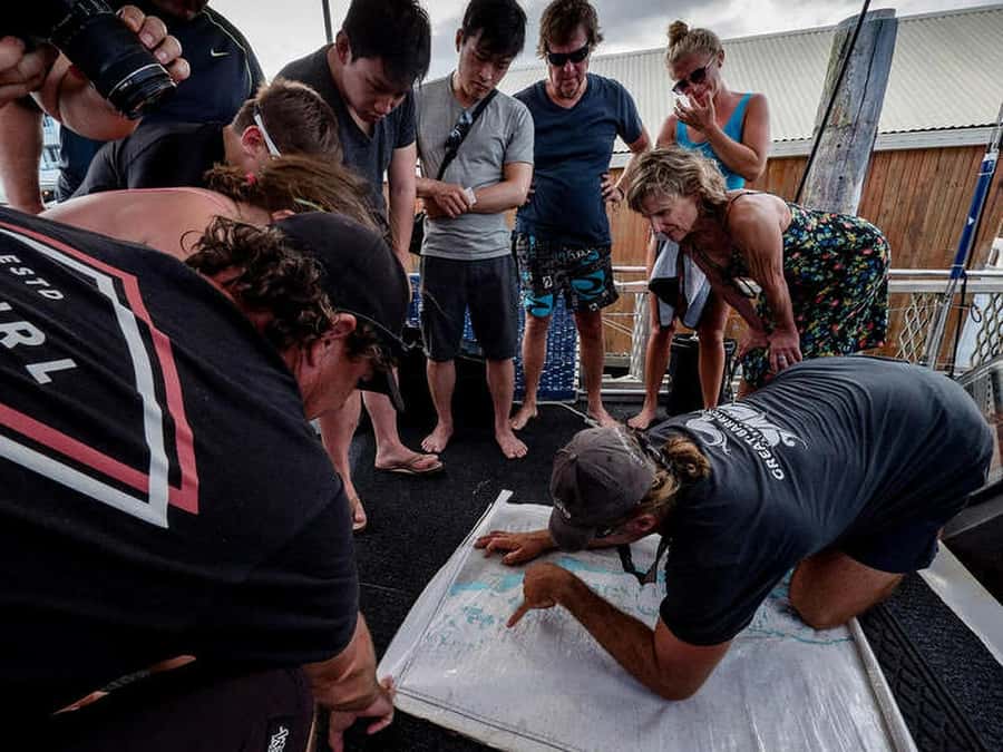 Cairns: 2-Day Great Barrier Reef Dive and Snorkel Boat Trip - Why two days on Coral Sea Dreaming feels different