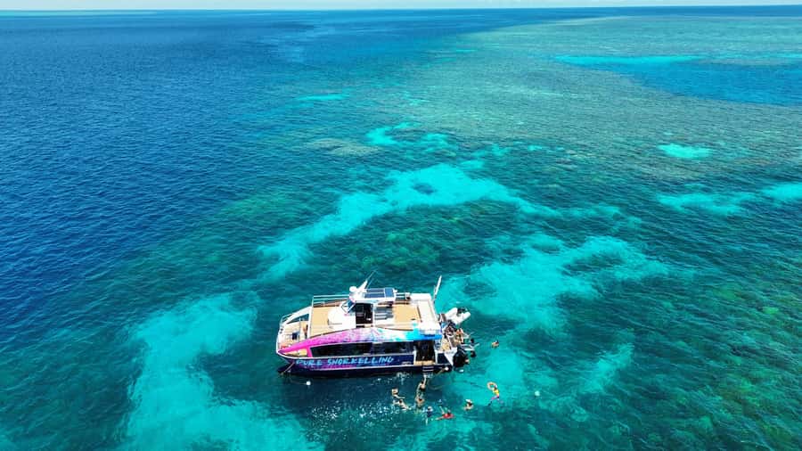Cairns: All-Inclusive Great Barrier Reef Half-Day Snorkeling - Key points at a glance