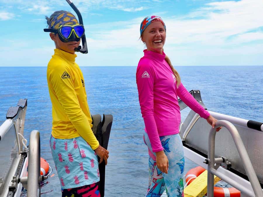 Cairns: All-Inclusive Great Barrier Reef Half-Day Snorkeling - Why this half-day reef trip works well