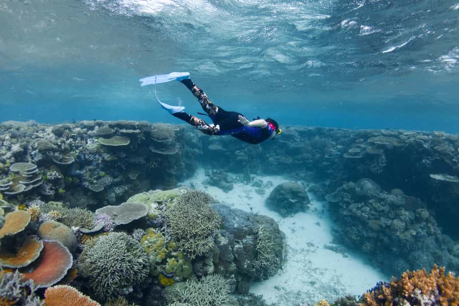Cairns: All-Inclusive Great Barrier Reef Half-Day Snorkeling - Choosing one of 15 reef moorings