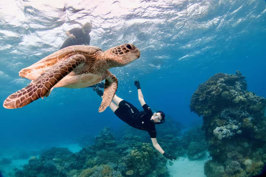 Cairns: All-Inclusive Great Barrier Reef Half-Day Snorkeling - Equipment, suits, and comfort on board