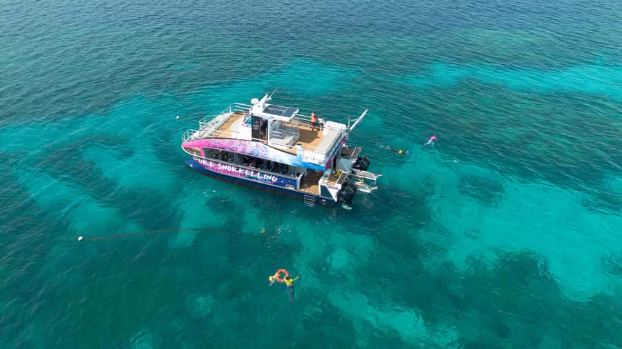 Cairns: All-Inclusive Great Barrier Reef Half-Day Snorkeling - Checking in at Cairns Marlin Marina