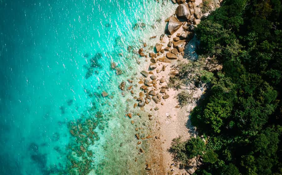 Cairns: Fitzroy Island Ferry w/ Snorkel, Lunch, Tour Options - Key points to know before you book