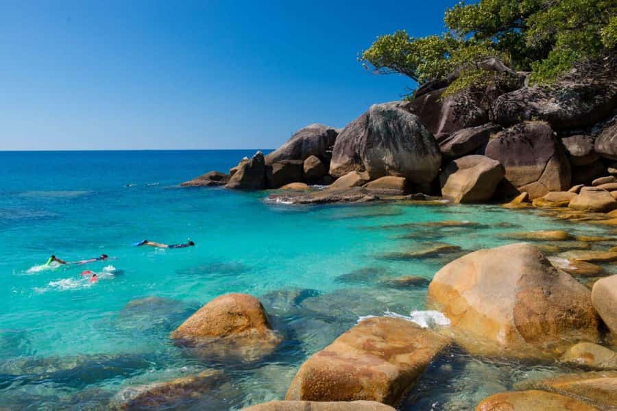 Cairns: Fitzroy Island Ferry w/ Snorkel, Lunch, Tour Options - Four hours to choose your own island day