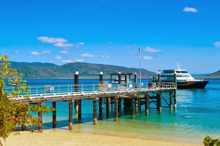 Cairns: Fitzroy Island Ferry w/ Snorkel, Lunch, Tour Options - What the glass bottom boat adds
