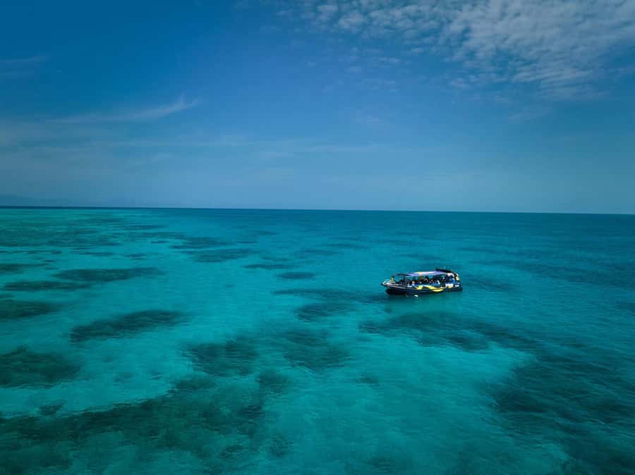 Cairns: Great Barrier Reef Half-Day Snorkelling Tour - Key points to know before booking