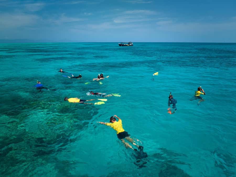 Cairns: Great Barrier Reef Half-Day Snorkelling Tour - Who should book this reef trip?
