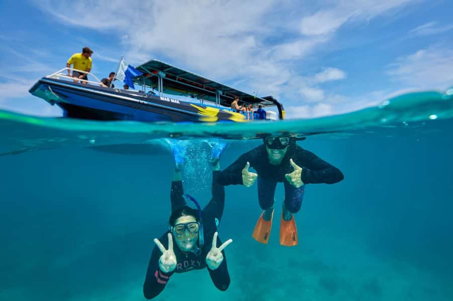 Cairns: Great Barrier Reef Half-Day Snorkelling Tour - What to pack for a better day