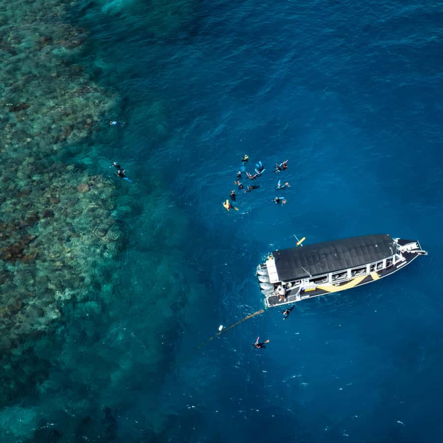 Cairns: Great Barrier Reef Half-Day Snorkelling Tour - What happens at the two-hour mark